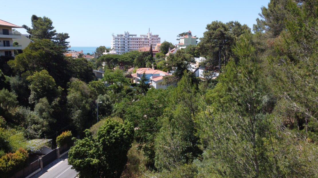 Project – 5 Luxury Villas in Estoril