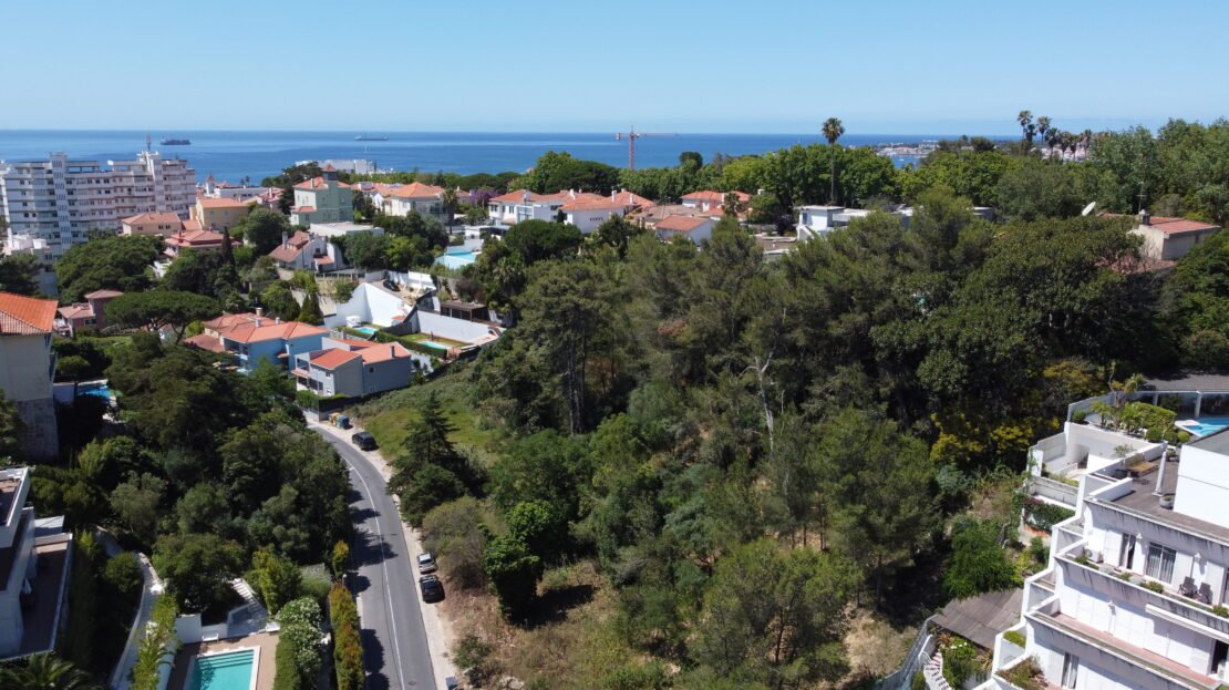 Project – 5 Luxury Villas in Estoril