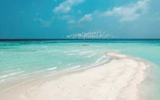 7+ Bedroom Private Island Mansions in the Maldives